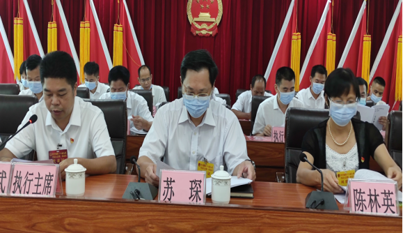洋青鎮(zhèn)第十八屆人民代表大會(huì)第一次會(huì)議勝利召開(kāi)（報(bào)道201.png