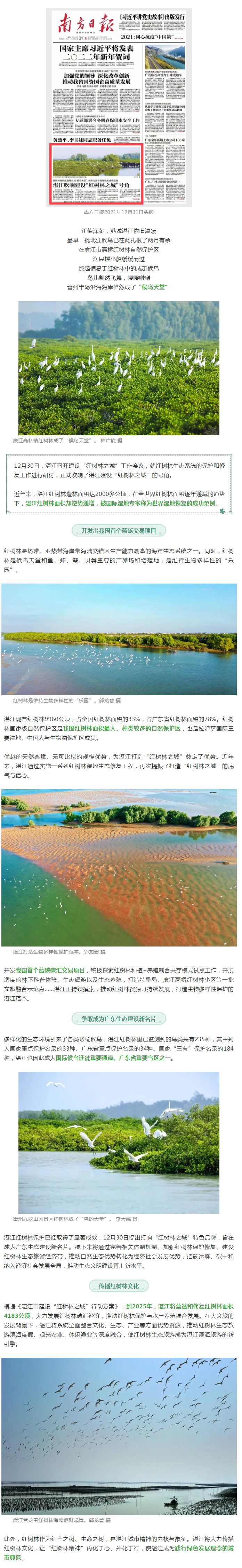 世界濕地恢復(fù)成功范例&hellip;&hellip;南方日?qǐng)?bào)頭版重磅聚焦湛江！.png