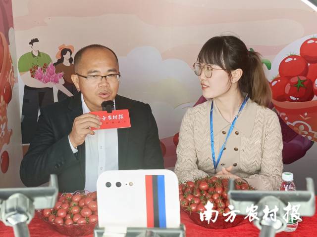 遂溪縣界炮鎮(zhèn)黨委副書記、鎮(zhèn)長(zhǎng)岑志東在遂溪千禧果直播秀中介紹遂溪千禧果  南方農(nóng)村報(bào) 林健民 拍攝