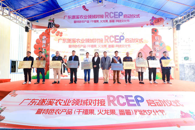 10個(gè)千禧果、番薯、火龍果、香蕉種植基地被授予“RECP生產(chǎn)基地”  南方農(nóng)村報(bào) 吳秒衡 拍攝