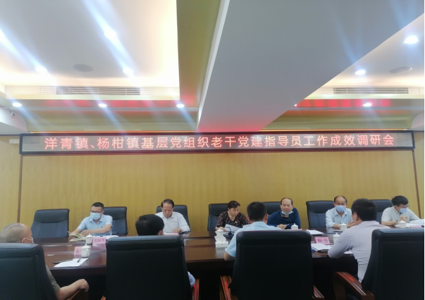 洋青鎮(zhèn)、楊柑鎮(zhèn)基層黨建老干指導(dǎo)員工作成效調(diào)研會新聞稿(1)42.png