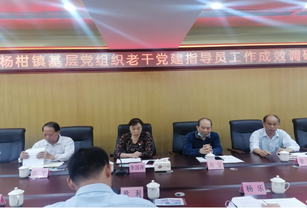 洋青鎮(zhèn)、楊柑鎮(zhèn)基層黨建老干指導(dǎo)員工作成效調(diào)研會新聞稿(1)736.png