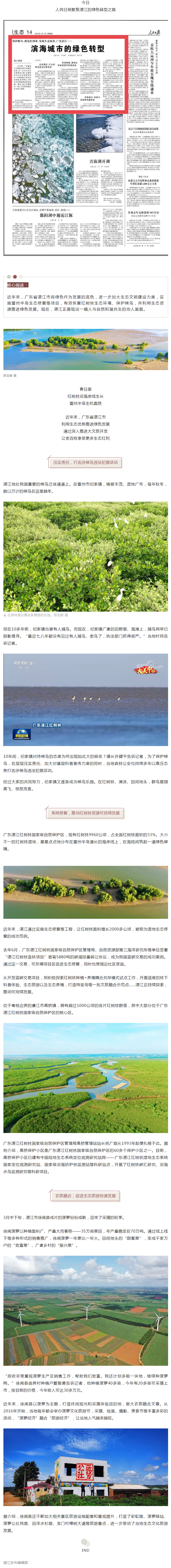 人民日?qǐng)?bào)頭條聚焦湛江：濱海城市的綠色轉(zhuǎn)型！.png