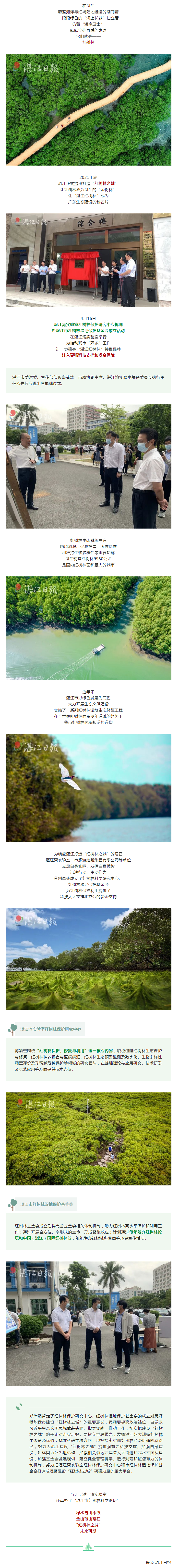 湛江紅樹林之城，插上騰飛的雙翼！.png