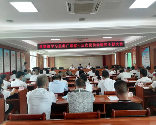 洋青鎮(zhèn)學(xué)習(xí)貫徹廣東省十三次黨代會精神198.png