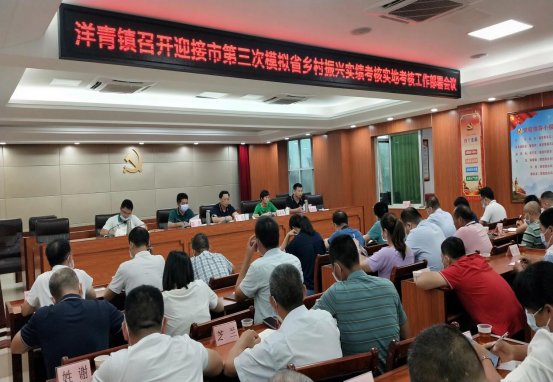 洋青：提升基層“三度”水平 、力促鄉(xiāng)村振興879.png