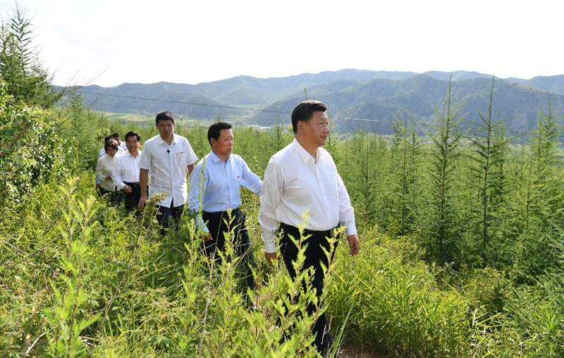 7月15日至16日，中共中央總書記、國家主席、中央軍委主席習(xí)近平在內(nèi)蒙古考察并指導(dǎo)開展“不忘初心、牢記使命”主題教育。這是15日下午，習(xí)近平在赤峰市喀喇沁旗馬鞍山林場林區(qū)，沿著崎嶇的護林小道察看林木長勢。