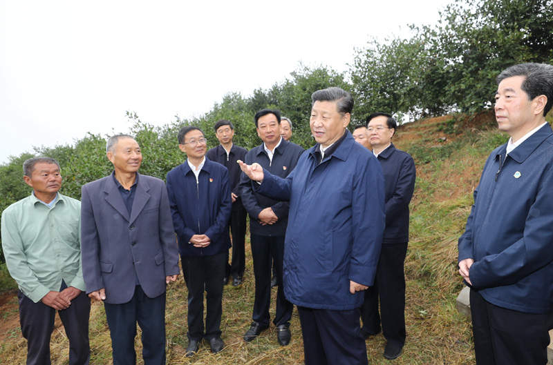 　　9月16日至18日，中共中央總書(shū)記、國(guó)家主席、中央軍委主席習(xí)近平在河南考察。這是17日上午，習(xí)近平來(lái)到信陽(yáng)市光山縣槐店鄉(xiāng)司馬光油茶園，同正在勞作的村民和管理人員交流。 新華社記者 鞠鵬 攝
