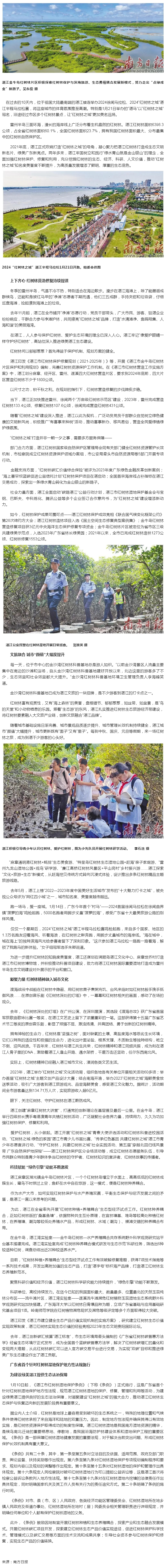 “海岸衛(wèi)士”與港城共生共榮 湛江“紅樹林之城”建設蹄疾步穩(wěn).png