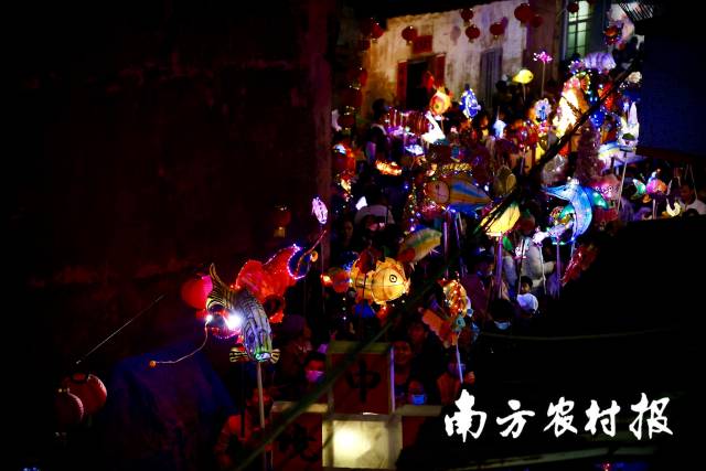 夜幕降臨，北坡游魚流光溢彩。