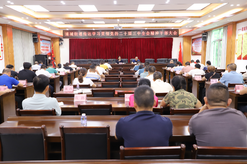 遂城街道傳達(dá)學(xué)習(xí)貫徹黨的二十屆三中全會(huì)精神干部大會(huì)1.JPG