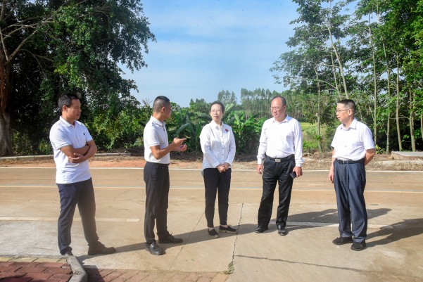 湛江市人大常委會黨組副書記、副主任陳云率隊到遂溪縣建新鎮(zhèn)車路頭村開展典型村創(chuàng)建調研工作