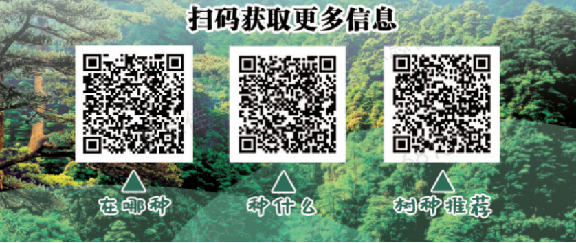 “有喜事來(lái)種樹(shù)，建設(shè)綠美遂溪”倡議書(shū)1.png
