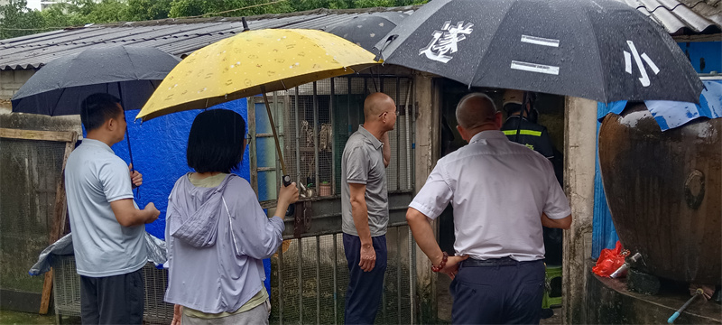 防臺(tái)風(fēng)（大黨委）.jpg